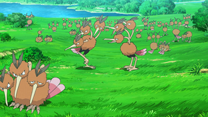 LV001 - Dodrio (Flash-back).png