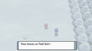 Route 217 Total Soin DEPS.png