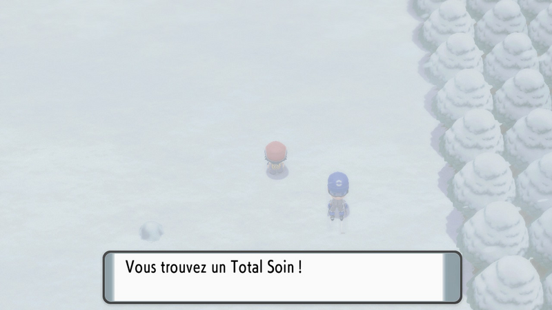 Fichier:Route 217 Total Soin DEPS.png