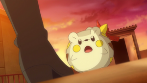 SL006 - Togedemaru de Chrys.png