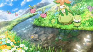 VP04 - Granivol, Fragilady et Chlorobule.png