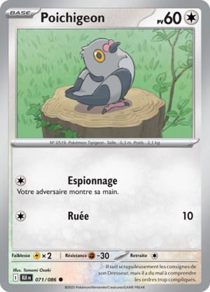 Carte Écarlate et Violet Foudre Noire 071.png