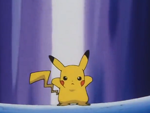 EP208 - Pikachu de Sacha.png