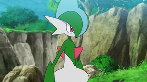 Gallame de Rinto.png