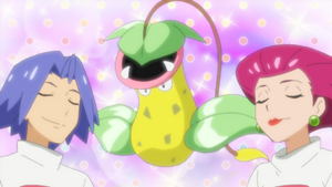 LV145 - Empiflor de James (Imaginaire).png