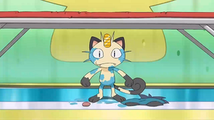 NB126 - Miaouss de la Team Rocket.png