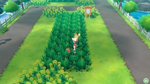 Route 17 Élixir LGPE.png