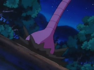 Arbok Tunnel.png