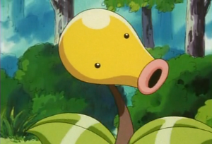 Chétiflor de Zack.png