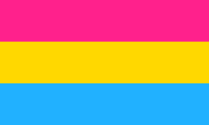 Drapeau pansexuelpng.png