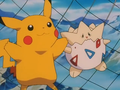 Pikachu (de Sacha) et Togepi (d'Ondine)