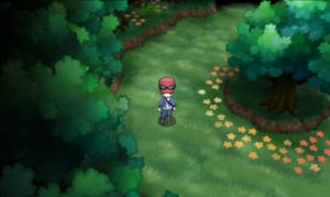 Route 20 XY.png