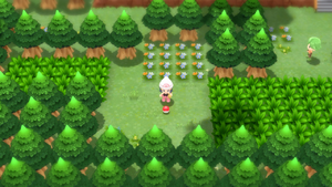 Route 221 CT81 DEPS.png