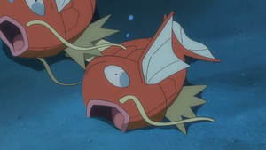 SL015 - Magicarpe.png