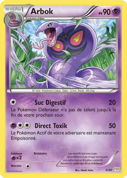 Fichier:Carte XY Kit du Dresseur Bruyverne 3.png