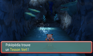 Chenal 124 Tesson Vert ROSA.png