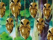 Coconfort(du Laboratoire Pokémon du Professeur Chen)
