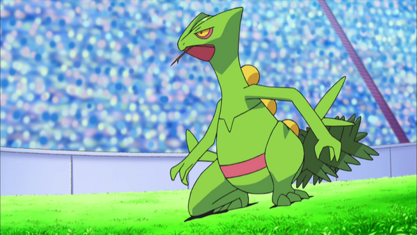 Jungko de Sacha — Poképédia