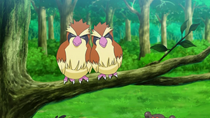 LV033 - Roucool.png