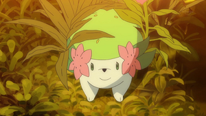 SL108 - Shaymin.png