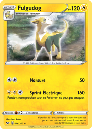 Carte Épée et Bouclier 076.png