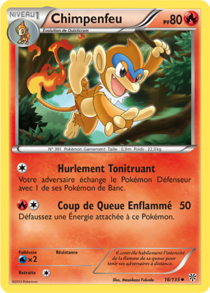 Carte Noir & Blanc Tempête Plasma 16.png