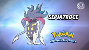 FR - QECP XY19.png