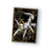 Protège-Carte - Arceus