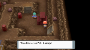 Île de Fer Petit Champi DEPS.png