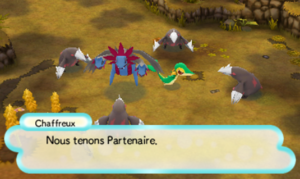 Brousse Aride (2) PDMPI.png