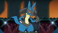 ► Lucario ► (de Sacha)