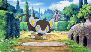 Luxio sauvage - Film 10.png