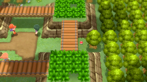 Route 225 Super Bonbon 1 DEPS.png