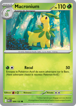 Carte Méga-Évolution 009.png
