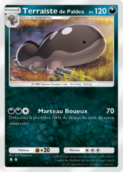 Terraiste de Paldea (Merveilles de Paldea 065)