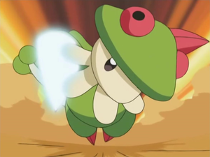 Chapignon Stratopercut.png