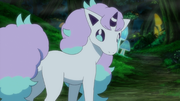 Ponyta de Galar(sauvage)