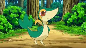 NB009 - Vipélierre de Sacha.png