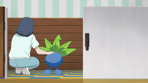 PO02 - Mystherbe de la Maison Pokémon.png