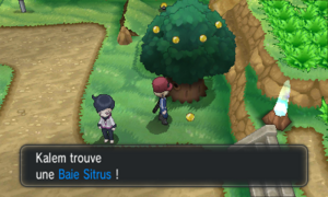 Route 11 Baie Sitrus XY.png