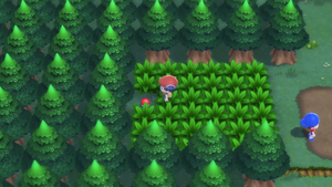 Route 202 Potion DEPS.png