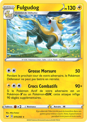 Carte Épée et Bouclier 075.png