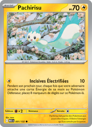 Carte Méga-Évolution 051.png