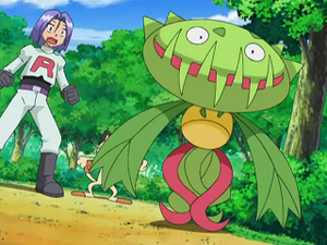 DP143 - Vortente de James.png
