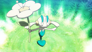 Floette Champ Herbu.png