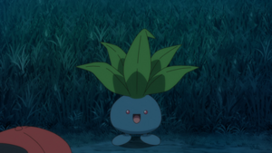 LV142 - Mystherbe.png