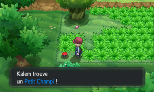 Route 7 Petit Champi XY.png