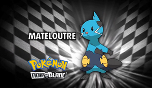 Épisode 676 - Pokémon inconnu révélé.png