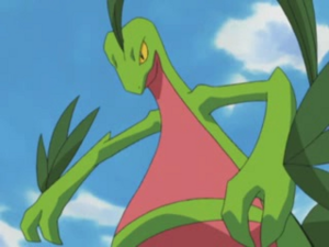 AG066 - Massko de Sacha.png