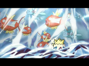 Chronicles 03 Bonhomme - Magicarpe et Axoloto Sauvages.png